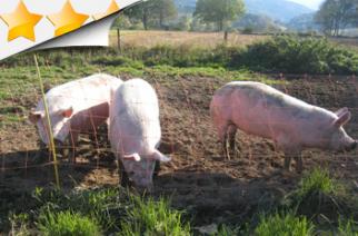 Chambres d'h�tes en Auvergne 63
