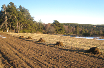 Paysage d'Auvergne